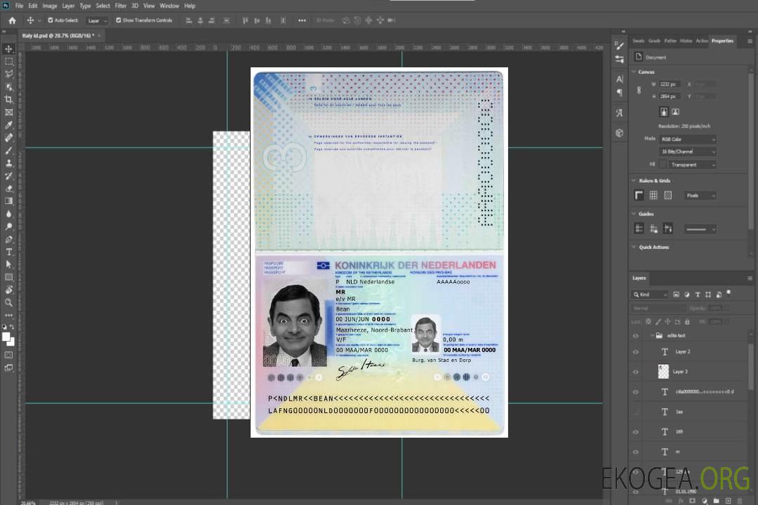 Modèle de passeport néerlandais au format PSD, entièrement modifiable, avec toutes les polices (2014 – présent) template